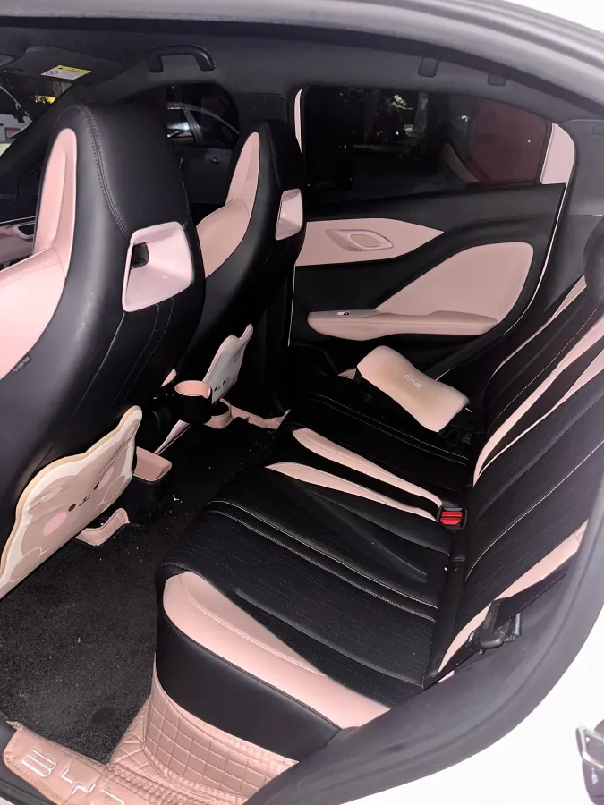 2024 BYD Seagull BEV 38.88KWH,autocango,china used car exporter,china ev exporter,chinese used car exporter,chinese used ev exporter