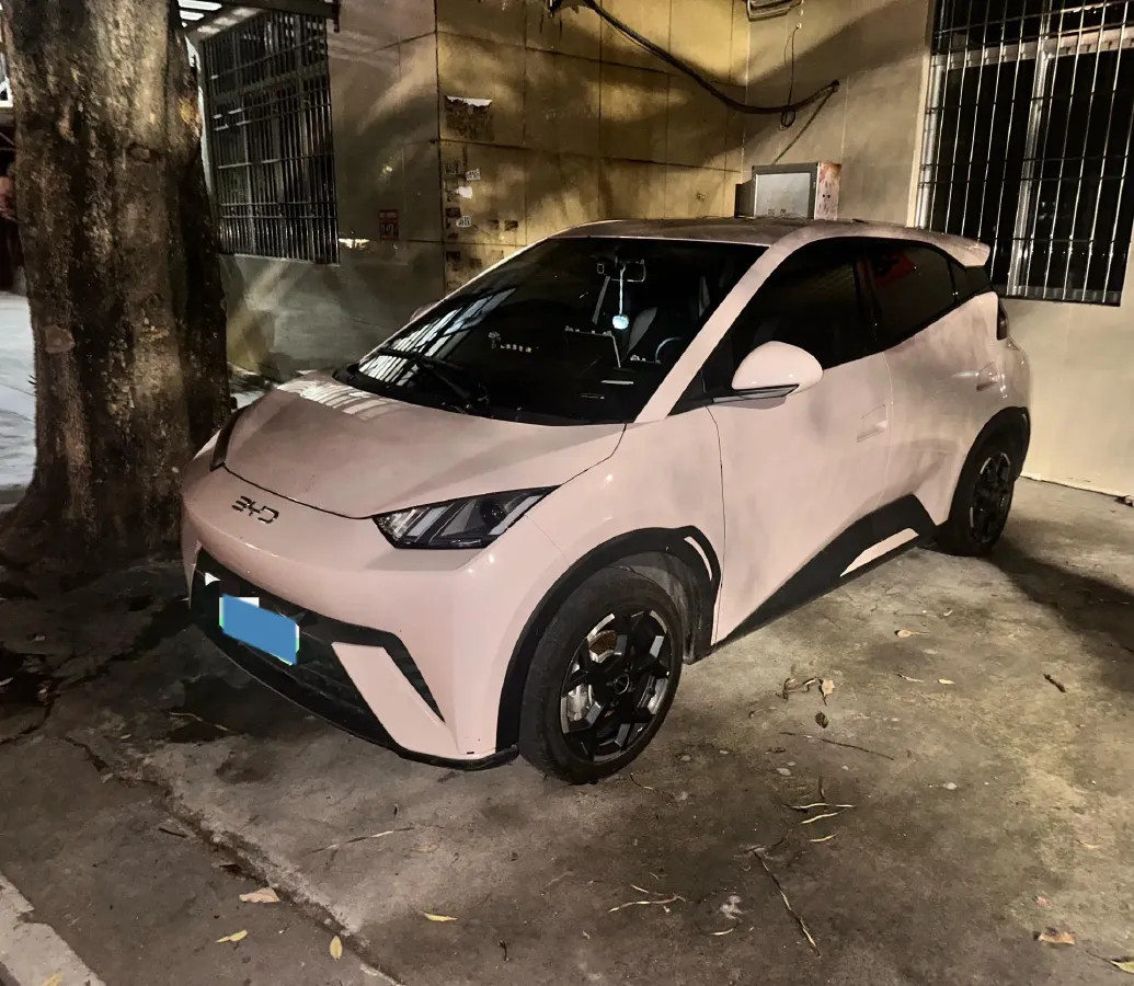 2024 BYD Seagull BEV 38.88KWH,autocango,china used car exporter,china ev exporter,chinese used car exporter,chinese used ev exporter