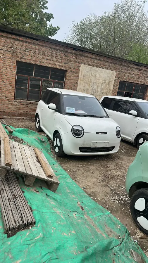 2024 ChangAn QiYuan Lumin BEV 28.08KWH,autocango,china used car exporter,china ev exporter,chinese used car exporter,chinese used ev exporter