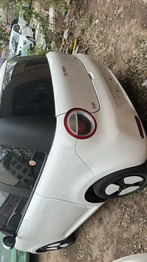 2024 ChangAn QiYuan Lumin BEV 28.08KWH,autocango,china used car exporter,china ev exporter,chinese used car exporter,chinese used ev exporter