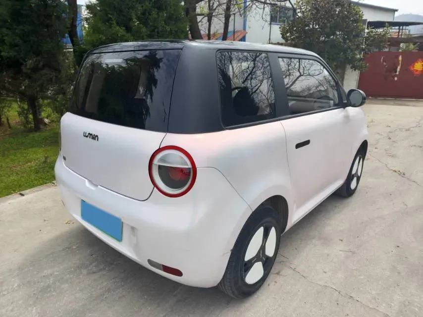 2022 Levdeo Mango BEV 17.28KWH,autocango,china used car exporter,china ev exporter,chinese used car exporter,chinese used ev exporter