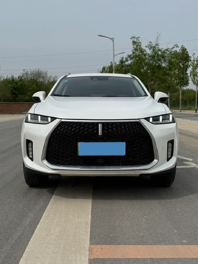 2018 WEY P8 2.0T 234HP L4 6DCT PHEV 12.96KWH,autocango,china used car exporter,china ev exporter,chinese used car exporter,chinese used ev exporter