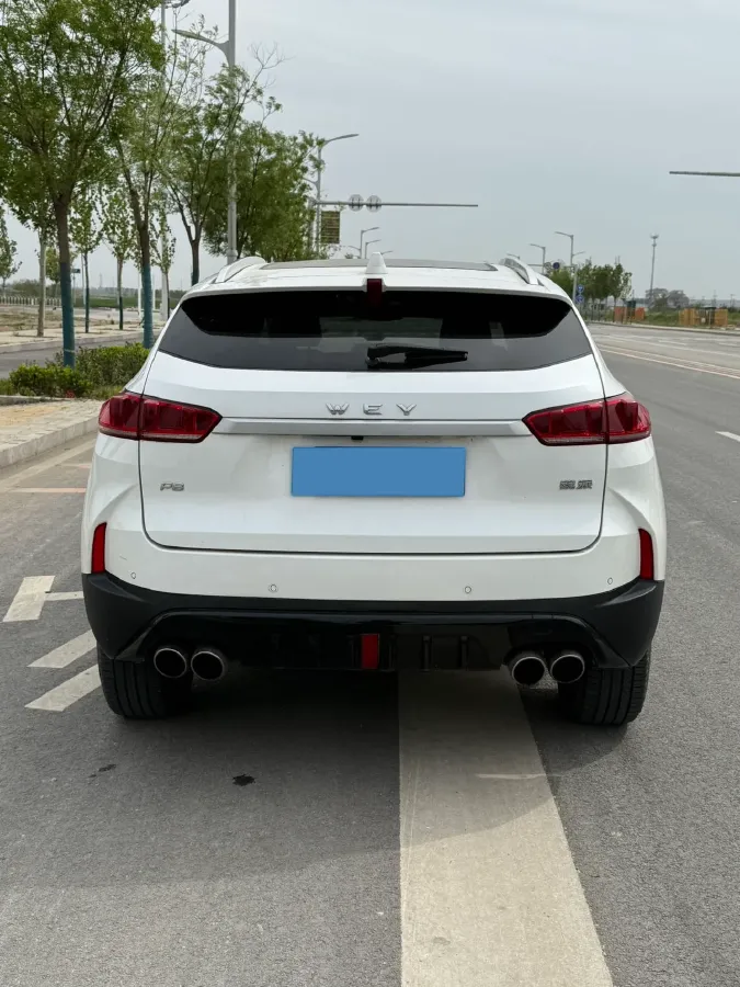 2018 WEY P8 2.0T 234HP L4 6DCT PHEV 12.96KWH,autocango,china used car exporter,china ev exporter,chinese used car exporter,chinese used ev exporter