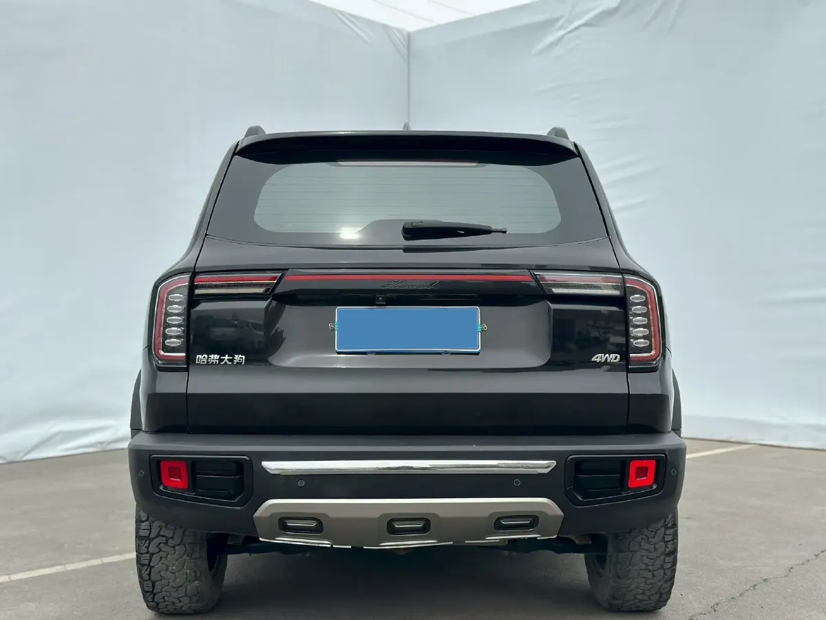 2021 Haval Dargo 2.0T 211HP L4 7DCT,autocango,china used car exporter,china ev exporter,chinese used car exporter,chinese used ev exporter