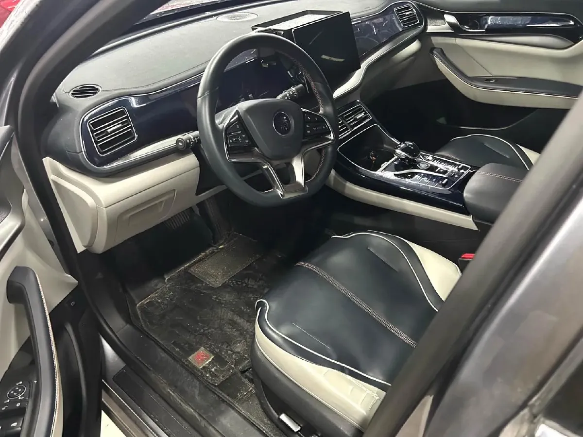 2019 BYD Qin BEV 53.1KWH,autocango,china used car exporter,china ev exporter,chinese used car exporter,chinese used ev exporter