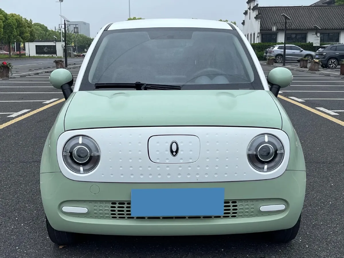 2021 Ora BlackCat BEV 30.3KWH,autocango,china used car exporter,china ev exporter,chinese used car exporter,chinese used ev exporter