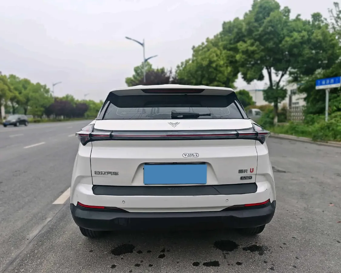 2021 DongFeng FuKang e Elysee BEV 38.4KWH,autocango,china used car exporter,china ev exporter,chinese used car exporter,chinese used ev exporter