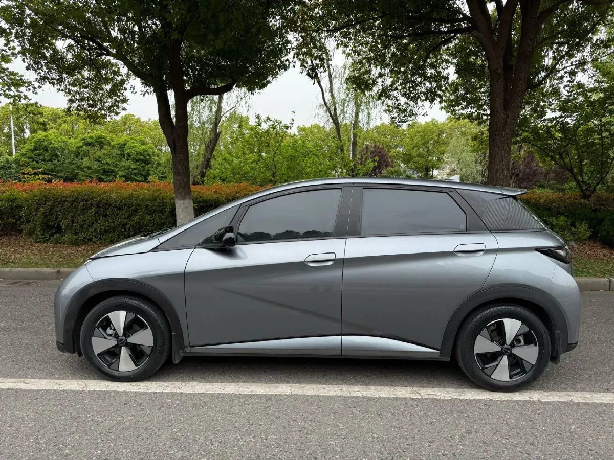 2023 BYD Dolphin BEV 44.928KWH,autocango,china used car exporter,china ev exporter,chinese used car exporter,chinese used ev exporter