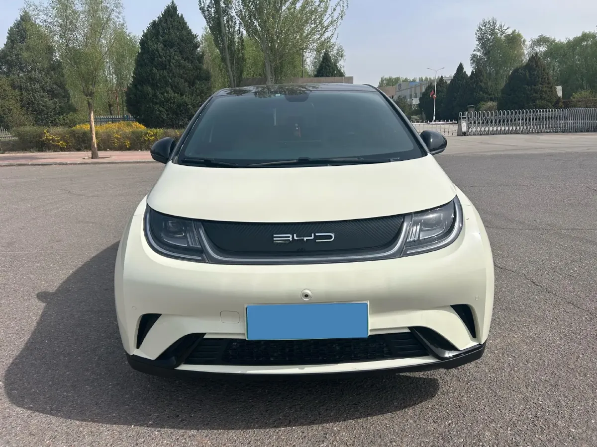 2023 BYD Dolphin BEV 44.928KWH,autocango,china used car exporter,china ev exporter,chinese used car exporter,chinese used ev exporter