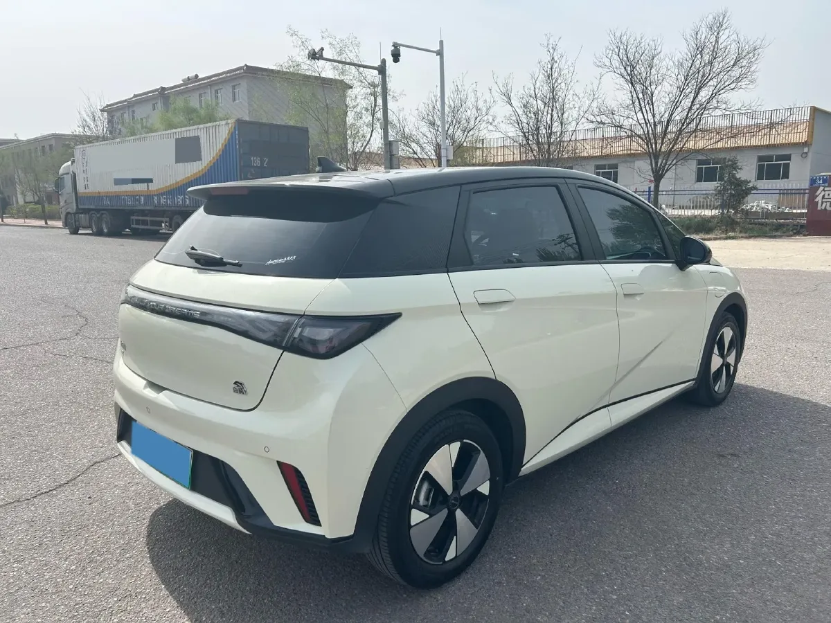 2023 BYD Dolphin BEV 44.928KWH,autocango,china used car exporter,china ev exporter,chinese used car exporter,chinese used ev exporter