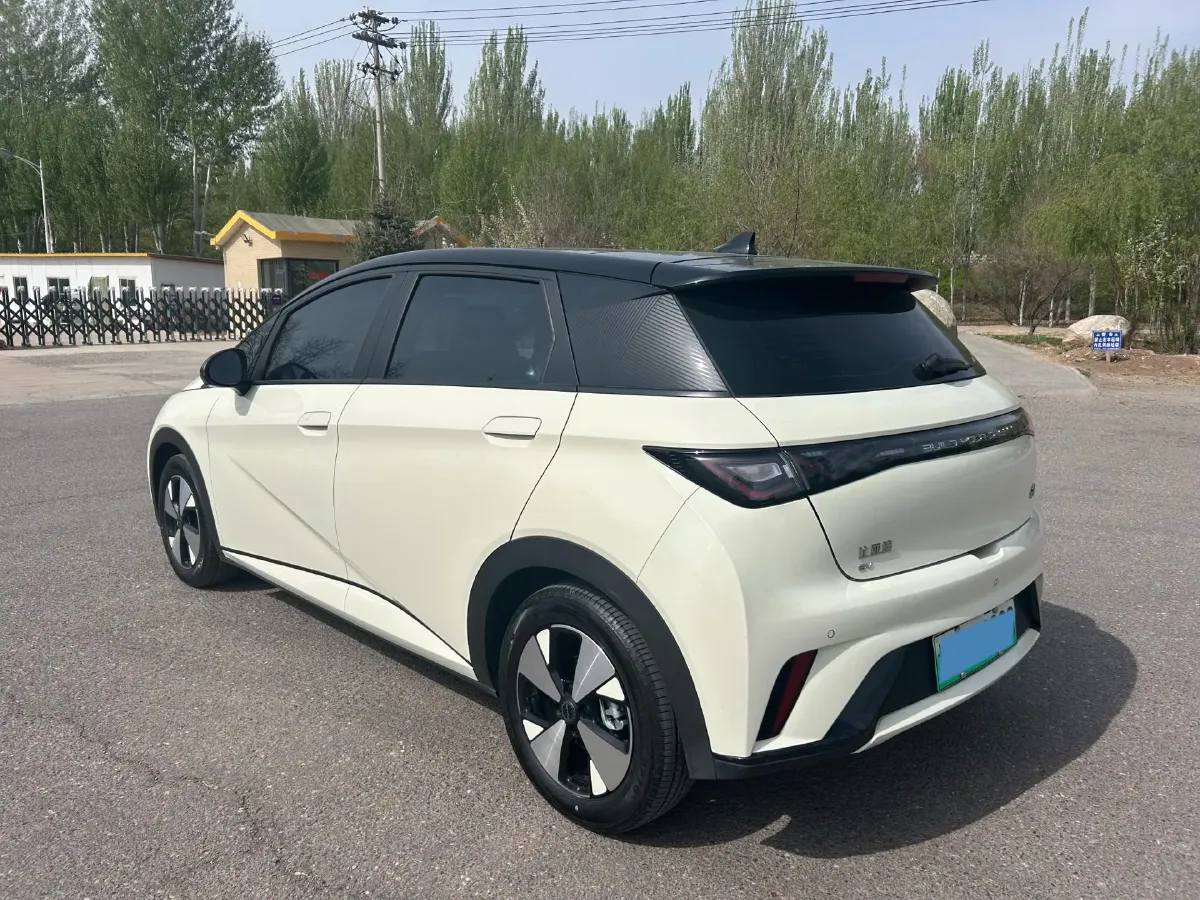 2023 BYD Dolphin BEV 44.928KWH,autocango,china used car exporter,china ev exporter,chinese used car exporter,chinese used ev exporter