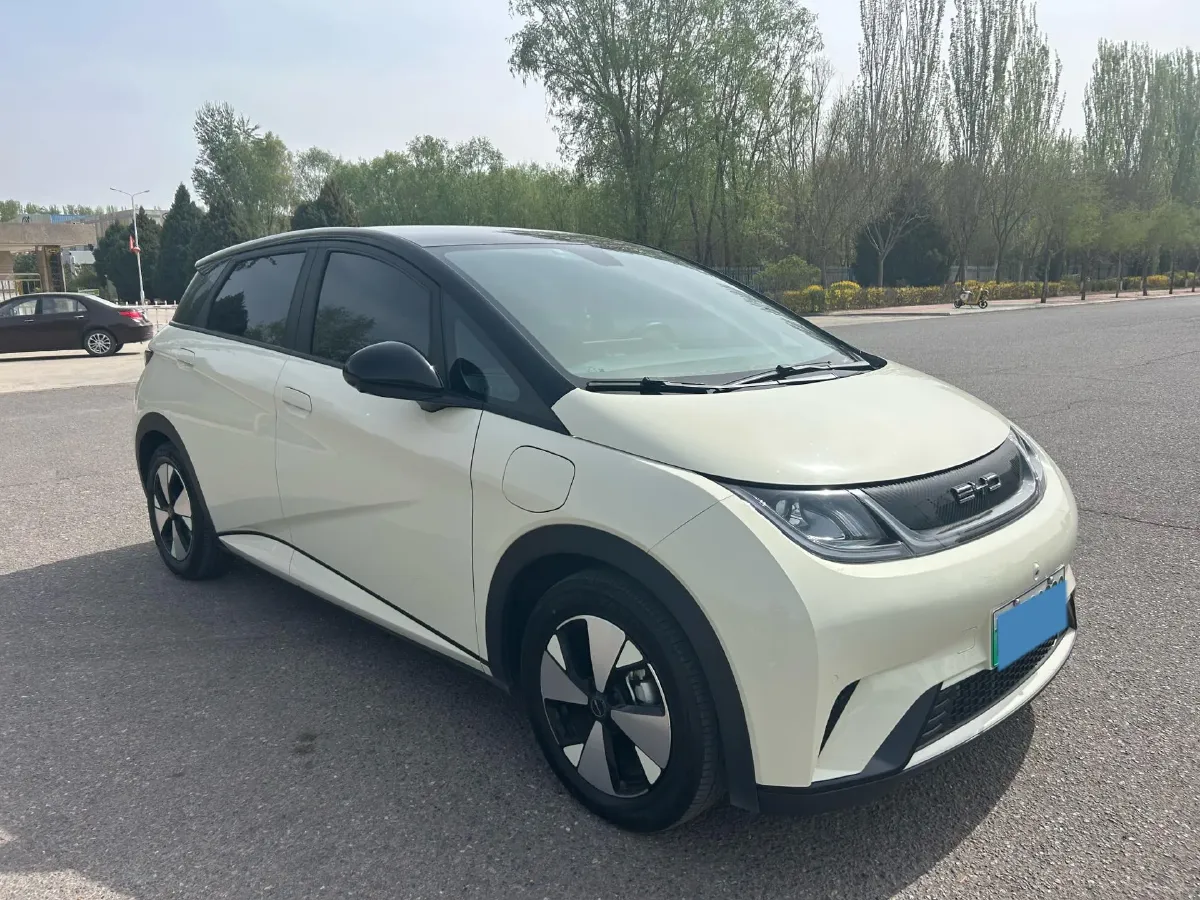 2023 BYD Dolphin BEV 44.928KWH,autocango,china used car exporter,china ev exporter,chinese used car exporter,chinese used ev exporter