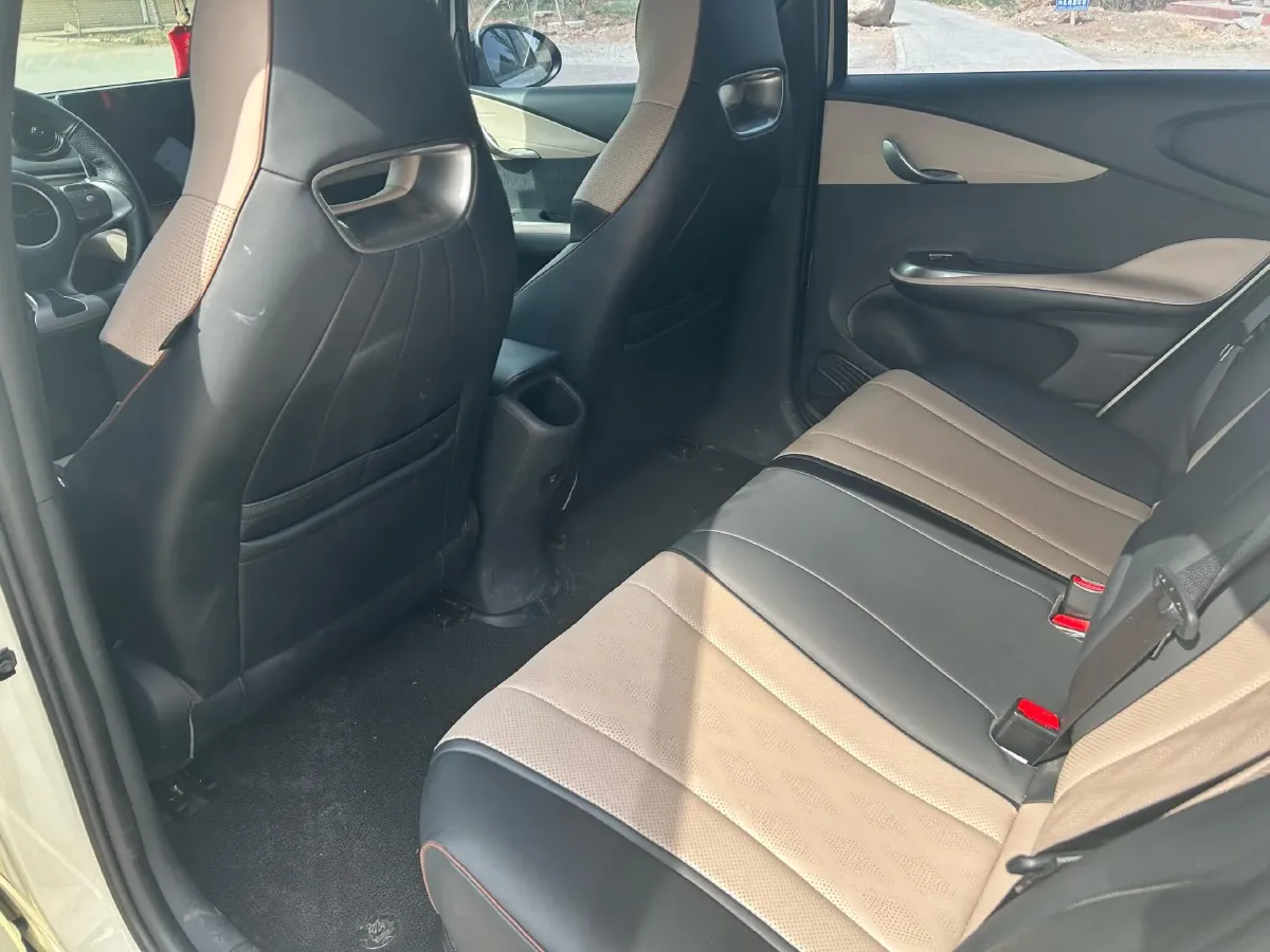 2023 BYD Dolphin BEV 44.928KWH,autocango,china used car exporter,china ev exporter,chinese used car exporter,chinese used ev exporter