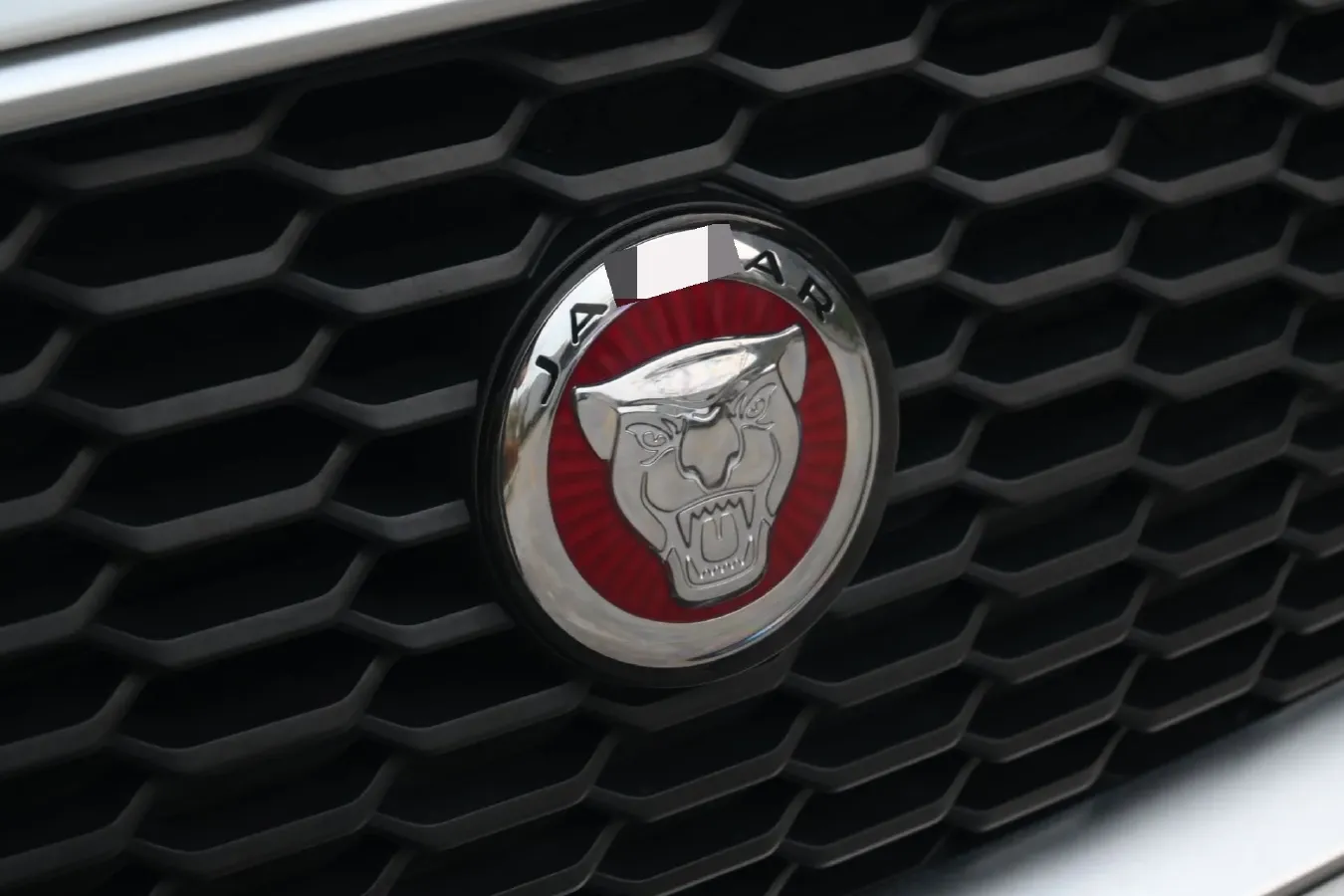 2024 Jaguar XEL 2.0T 250HP L4 8AT,autocango,china used car exporter,china ev exporter,chinese used car exporter,chinese used ev exporter