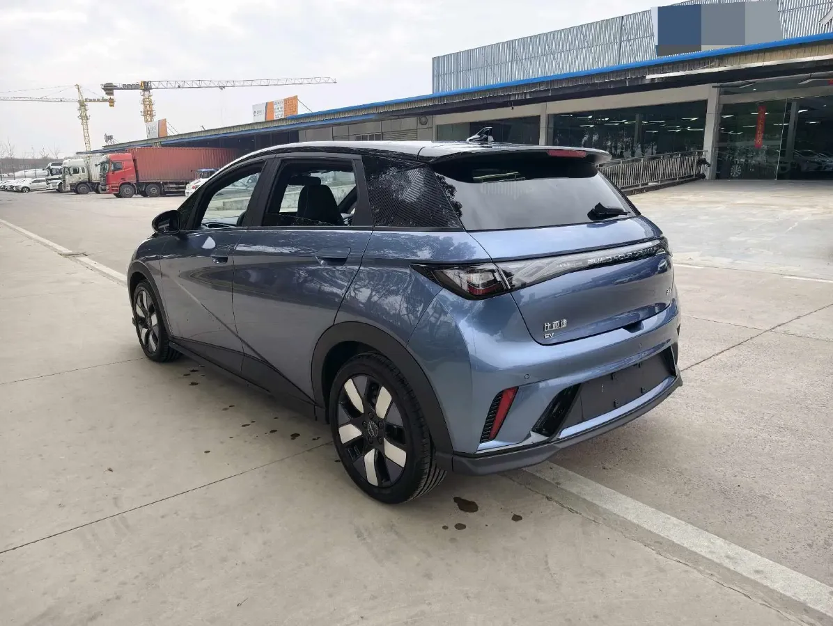 2024 BYD Dolphin BEV 44.928KWH,autocango,china used car exporter,china ev exporter,chinese used car exporter,chinese used ev exporter