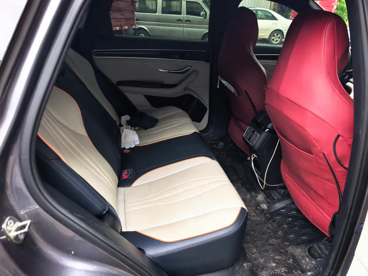 2021 SRM Sea Lion EV BEV 41.86KWH,autocango,china used car exporter,china ev exporter,chinese used car exporter,chinese used ev exporter