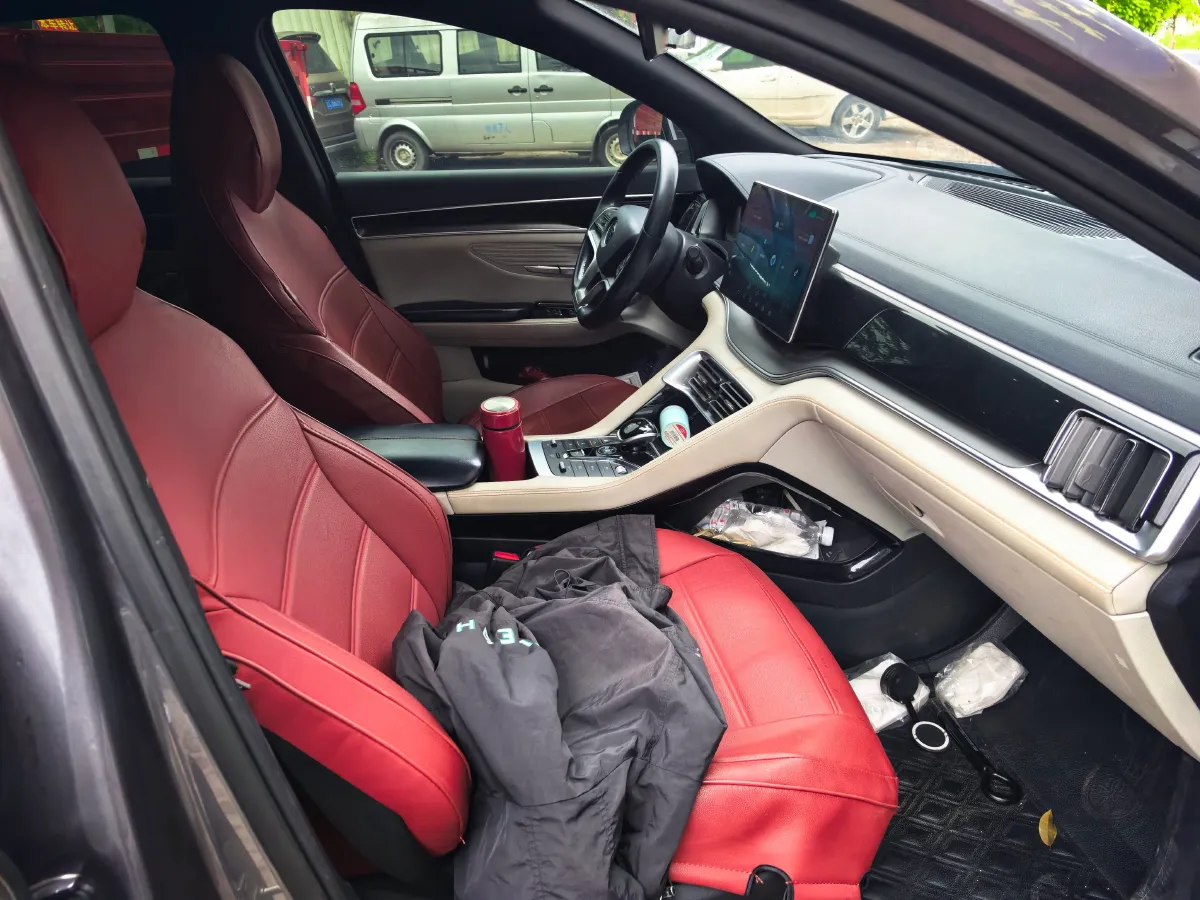 2021 SRM Sea Lion EV BEV 41.86KWH,autocango,china used car exporter,china ev exporter,chinese used car exporter,chinese used ev exporter