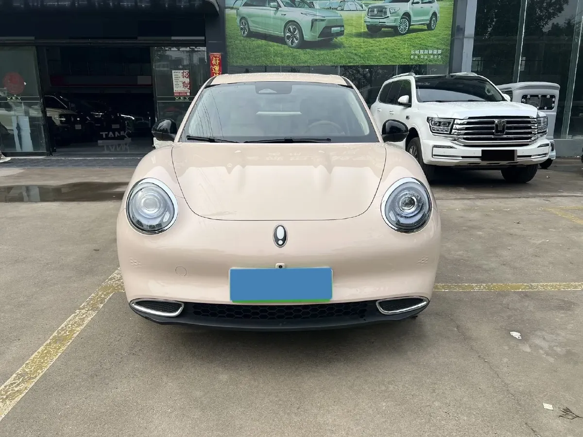 2024 Ora FunkyCat BEV 47.8KWH,autocango,china used car exporter,china ev exporter,chinese used car exporter,chinese used ev exporter