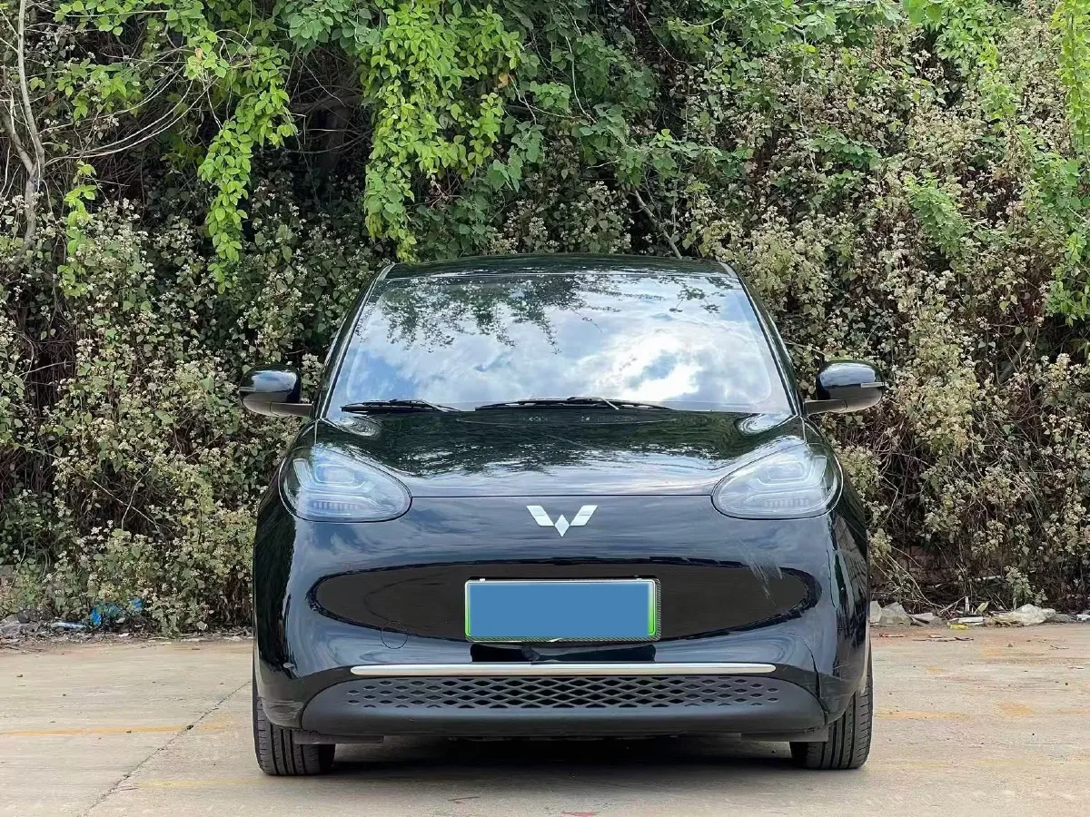 2023 WuLing BinGuo BEV 31.9KWH,autocango,china used car exporter,china ev exporter,chinese used car exporter,chinese used ev exporter