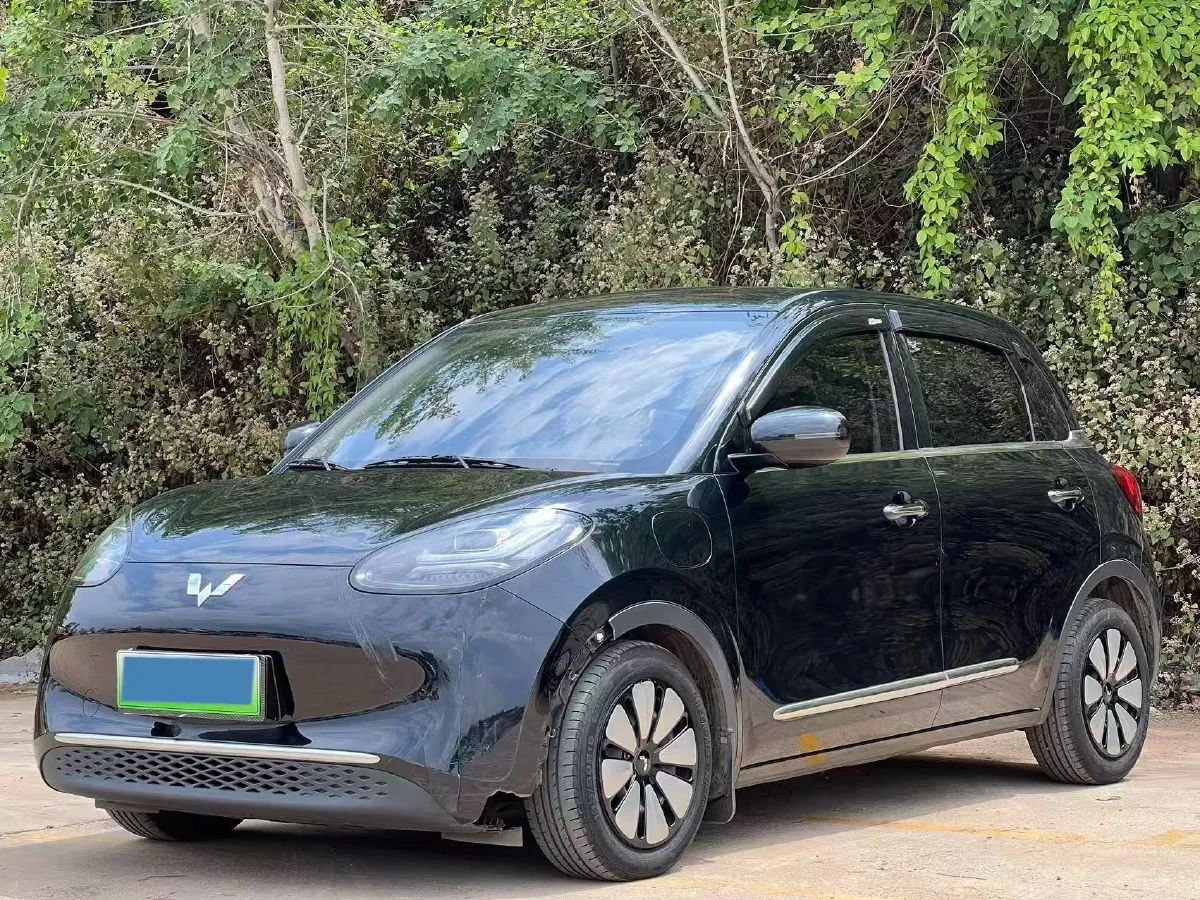 2023 WuLing BinGuo BEV 31.9KWH,autocango,china used car exporter,china ev exporter,chinese used car exporter,chinese used ev exporter