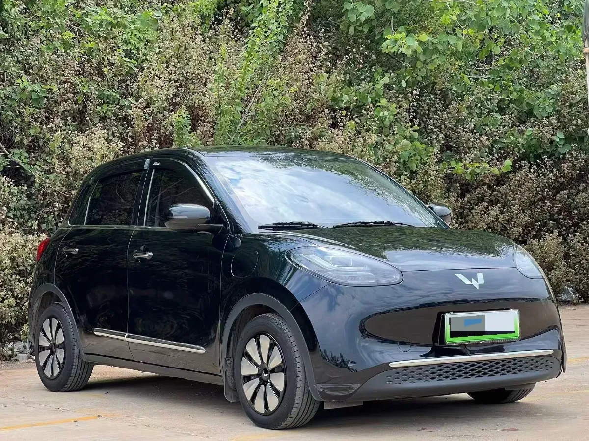 2023 WuLing BinGuo BEV 31.9KWH,autocango,china used car exporter,china ev exporter,chinese used car exporter,chinese used ev exporter