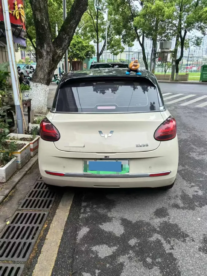 2025 WuLing BinGuo BEV,autocango,china used car exporter,china ev exporter,chinese used car exporter,chinese used ev exporter