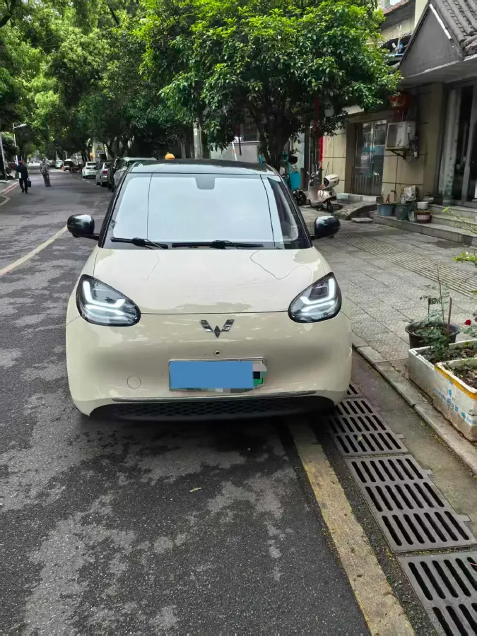 2025 WuLing BinGuo BEV,autocango,china used car exporter,china ev exporter,chinese used car exporter,chinese used ev exporter