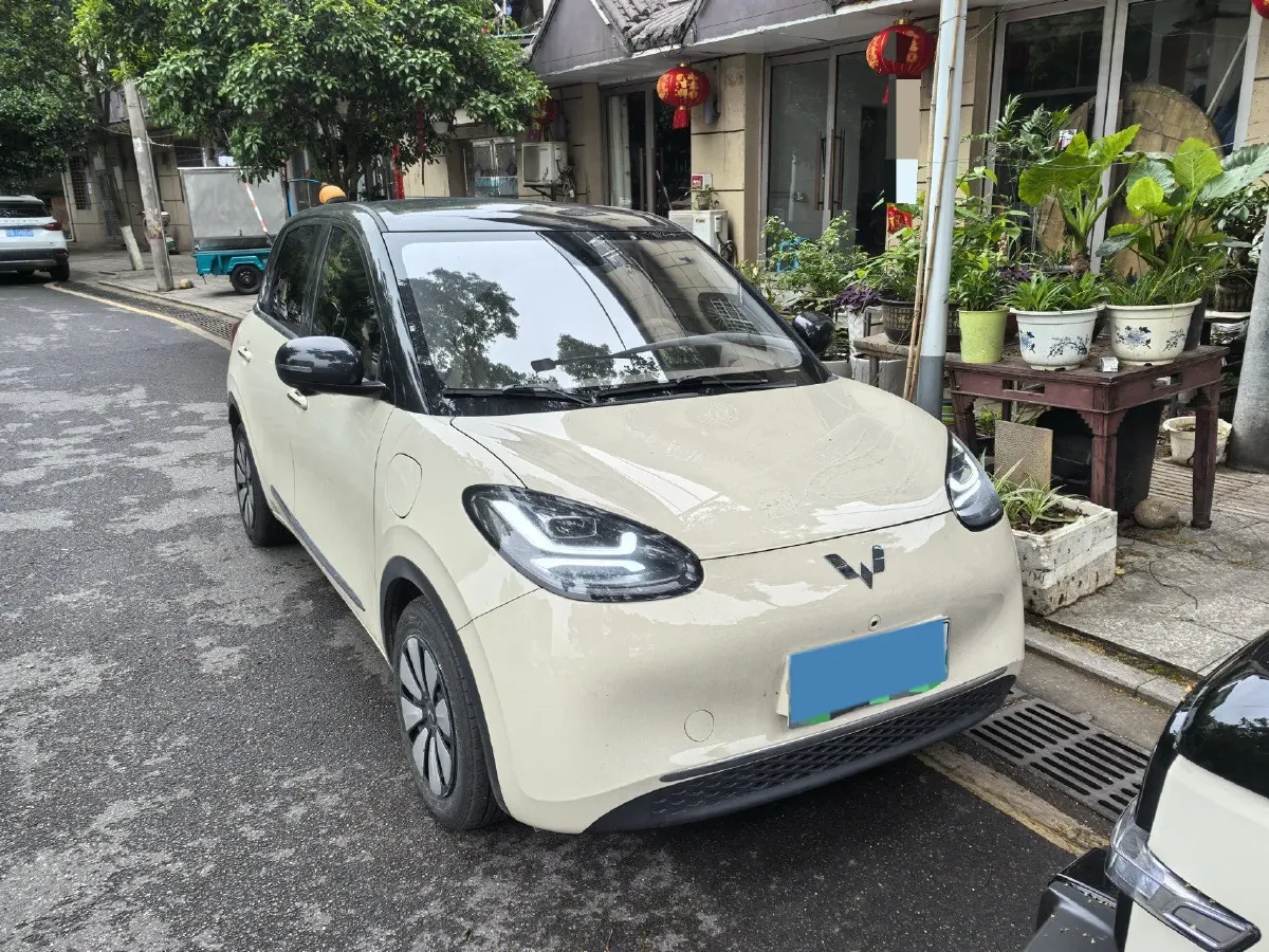 2025 WuLing BinGuo BEV,autocango,china used car exporter,china ev exporter,chinese used car exporter,chinese used ev exporter