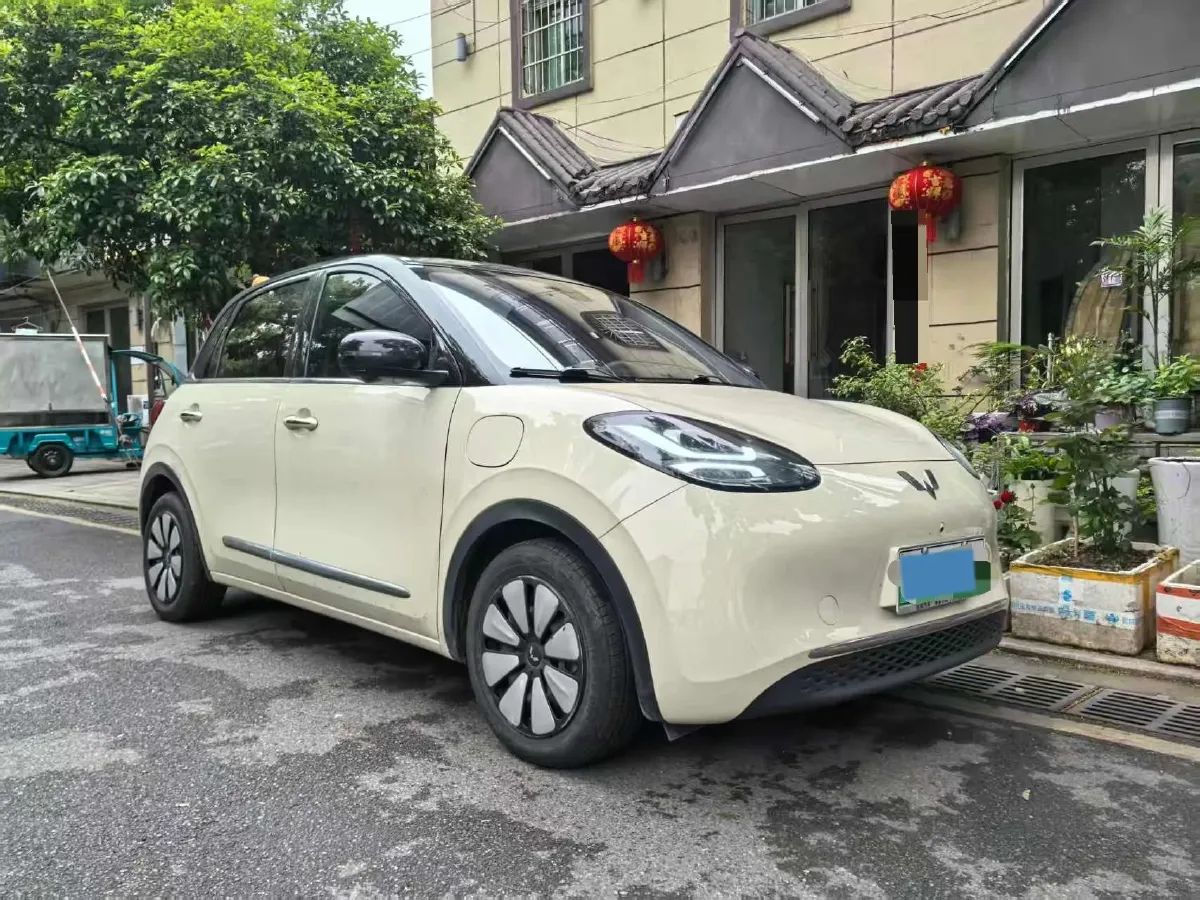2025 WuLing BinGuo BEV,autocango,china used car exporter,china ev exporter,chinese used car exporter,chinese used ev exporter