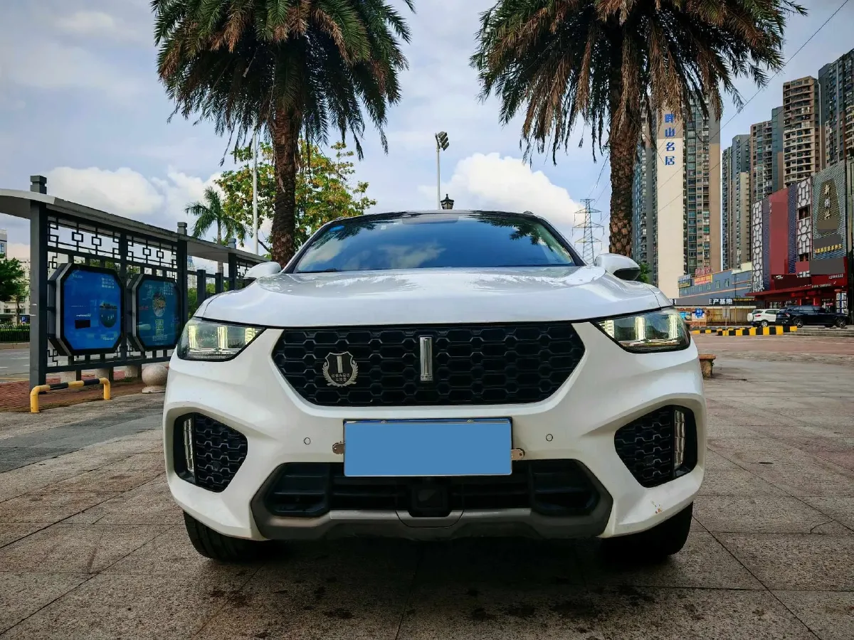 2019 WEY VV5 2.0T 224HP L4 7DCT,autocango,china used car exporter,china ev exporter,chinese used car exporter,chinese used ev exporter