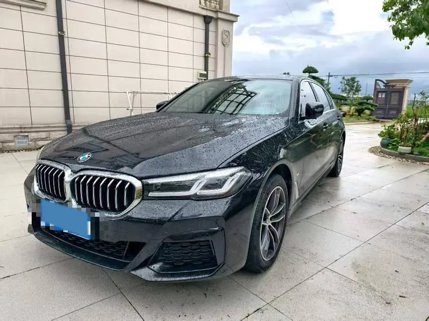 2022 BMW 5 Series 2.0T 184HP L4 8AT,autocango,china used car exporter,china ev exporter,chinese used car exporter,chinese used ev exporter