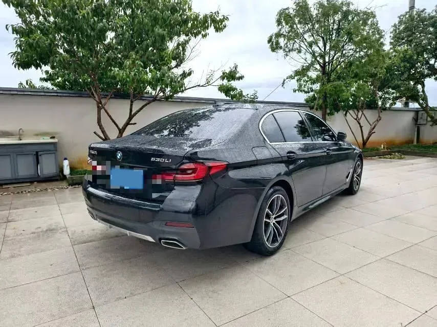 2022 BMW 5 Series 2.0T 184HP L4 8AT,autocango,china used car exporter,china ev exporter,chinese used car exporter,chinese used ev exporter