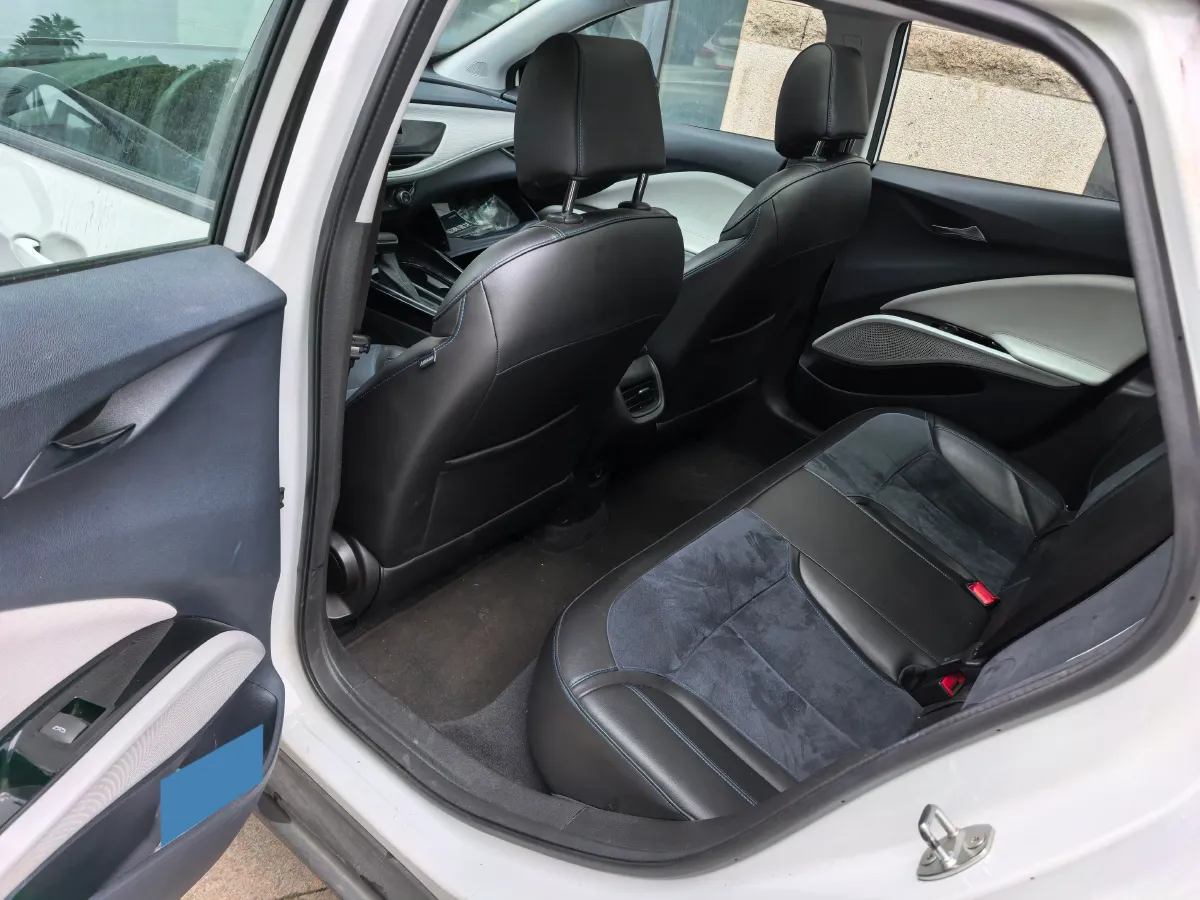 2019 Buick Velite 6 BEV 35KWH,autocango,china used car exporter,china ev exporter,chinese used car exporter,chinese used ev exporter