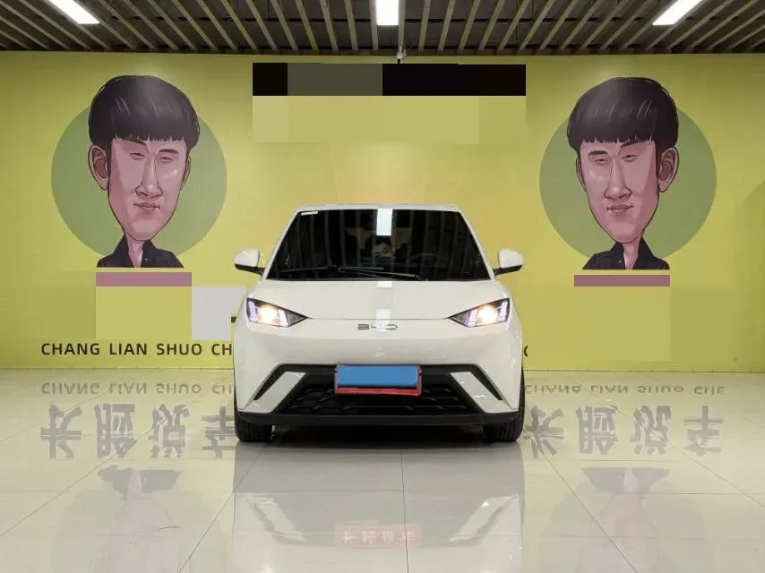 2024 BYD Seagull BEV 30.08KWH,autocango,china used car exporter,china ev exporter,chinese used car exporter,chinese used ev exporter