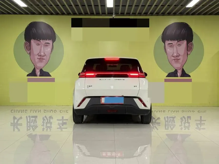 2024 BYD Seagull BEV 30.08KWH,autocango,china used car exporter,china ev exporter,chinese used car exporter,chinese used ev exporter