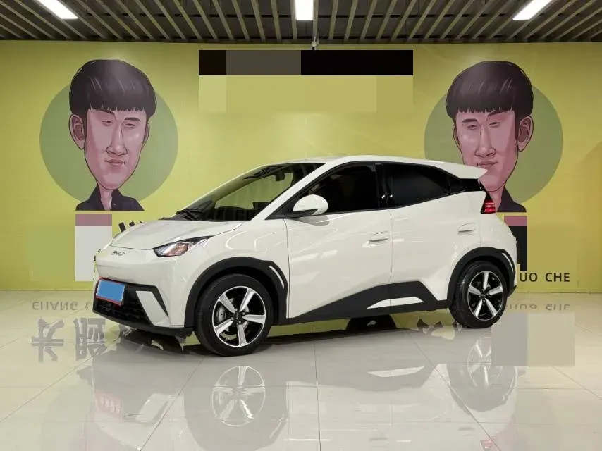 2024 BYD Seagull BEV 30.08KWH,autocango,china used car exporter,china ev exporter,chinese used car exporter,chinese used ev exporter