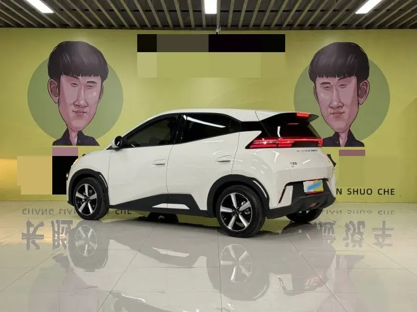 2024 BYD Seagull BEV 30.08KWH,autocango,china used car exporter,china ev exporter,chinese used car exporter,chinese used ev exporter