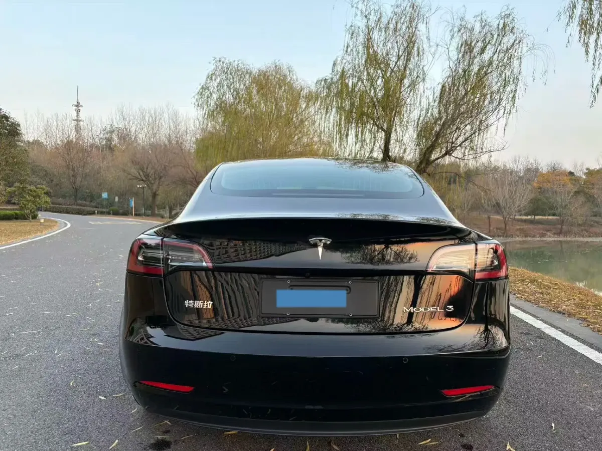 2020 Tesla Model 3 BEV 52KWH,autocango,china used car exporter,china ev exporter,chinese used car exporter,chinese used ev exporter
