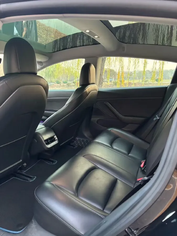 2020 Tesla Model 3 BEV 52KWH,autocango,china used car exporter,china ev exporter,chinese used car exporter,chinese used ev exporter