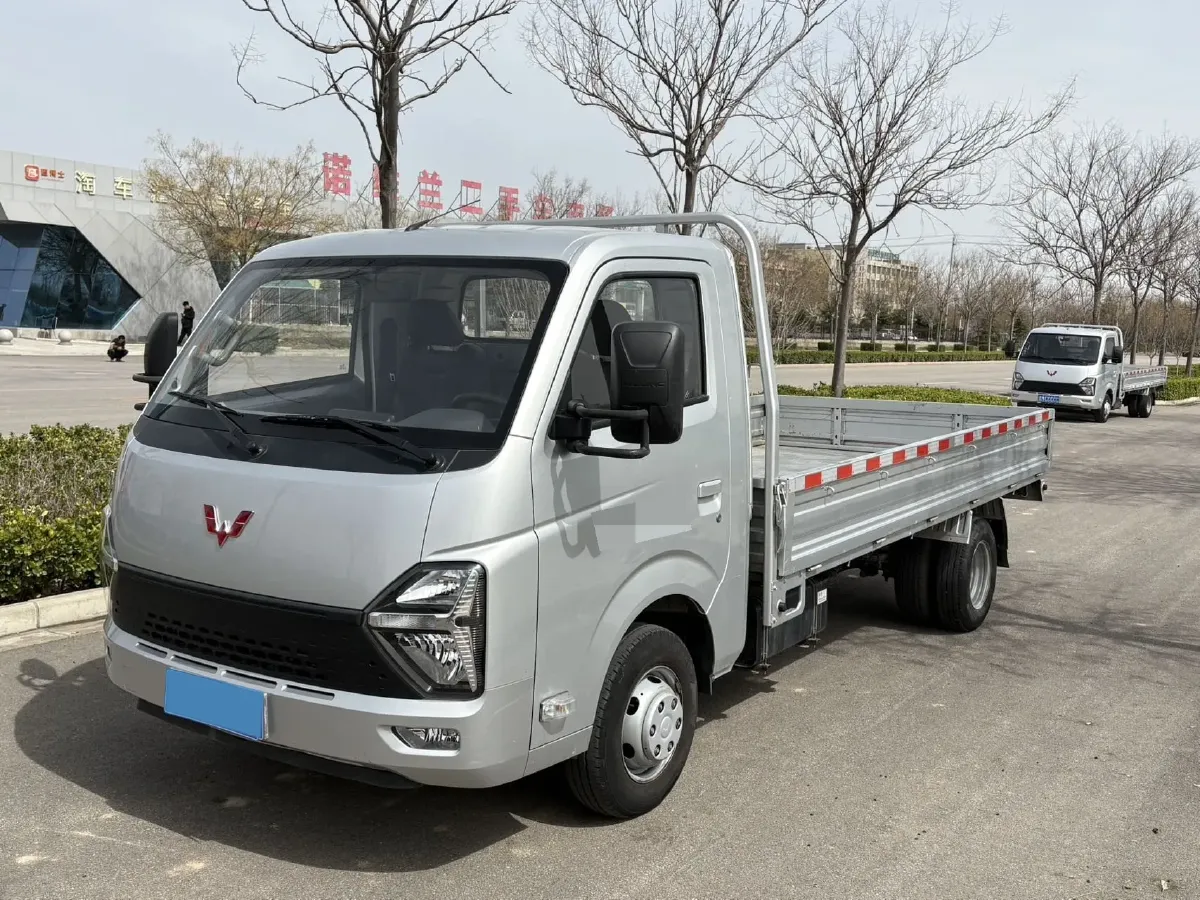 2023 WuLing Loong Truck 2.0L 136HP L4 5MT,autocango,china used car exporter,china ev exporter,chinese used car exporter,chinese used ev exporter