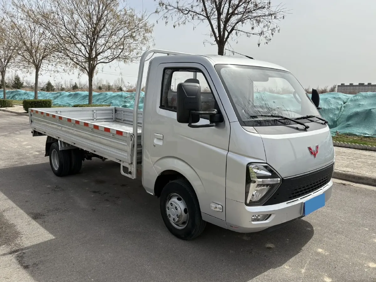 2023 WuLing Loong Truck 2.0L 136HP L4 5MT,autocango,china used car exporter,china ev exporter,chinese used car exporter,chinese used ev exporter