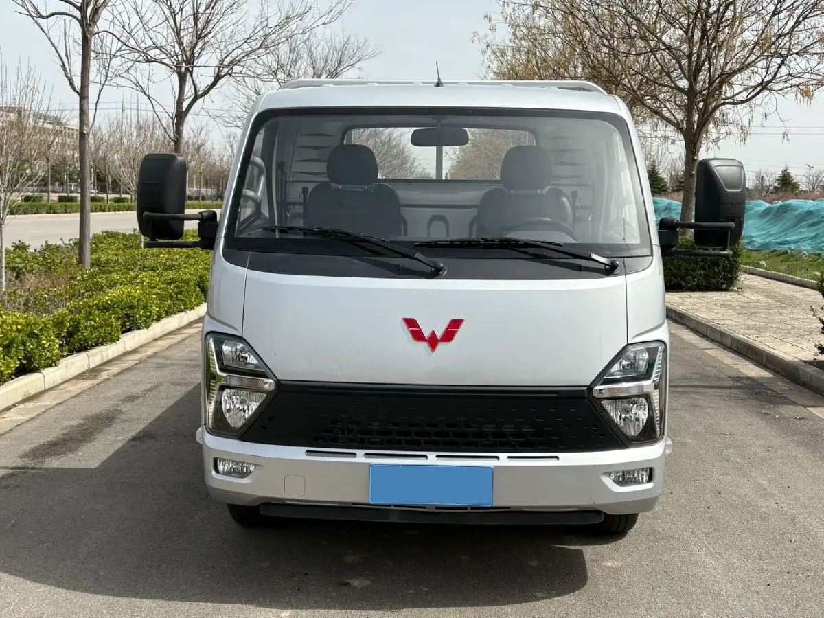 2023 WuLing Loong Truck 2.0L 136HP L4 5MT,autocango,china used car exporter,china ev exporter,chinese used car exporter,chinese used ev exporter