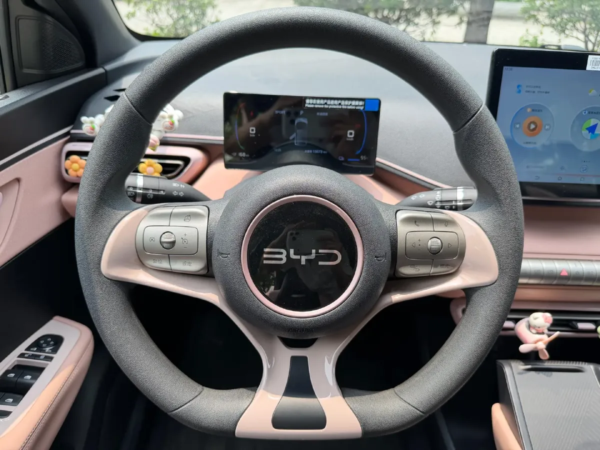 2024 BYD Seagull BEV 30.08KWH,autocango,china used car exporter,china ev exporter,chinese used car exporter,chinese used ev exporter