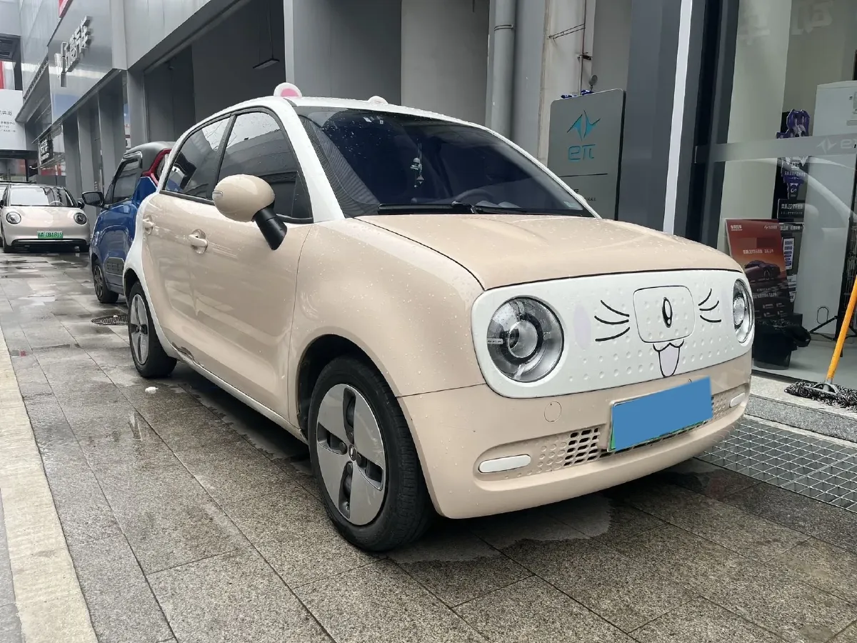 2022 Ora BlackCat BEV 30.3KWH,autocango,china used car exporter,china ev exporter,chinese used car exporter,chinese used ev exporter
