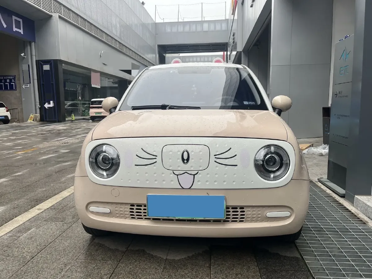 2022 Ora BlackCat BEV 30.3KWH,autocango,china used car exporter,china ev exporter,chinese used car exporter,chinese used ev exporter