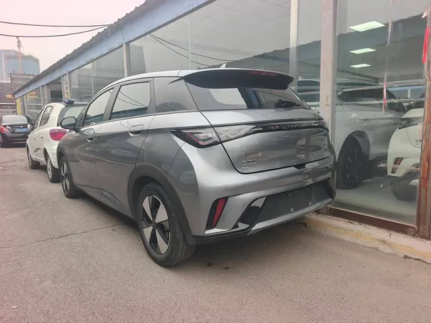 2023 BYD Dolphin BEV 44.928KWH,autocango,china used car exporter,china ev exporter,chinese used car exporter,chinese used ev exporter