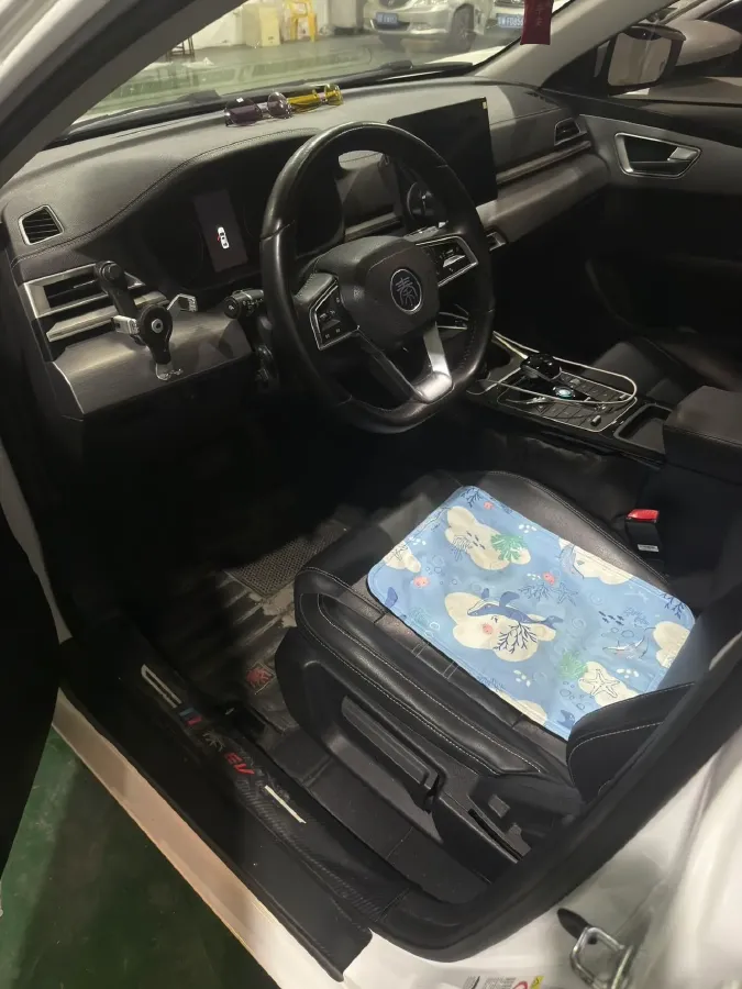 2021 BYD Qin BEV 53.56KWH,autocango,china used car exporter,china ev exporter,chinese used car exporter,chinese used ev exporter