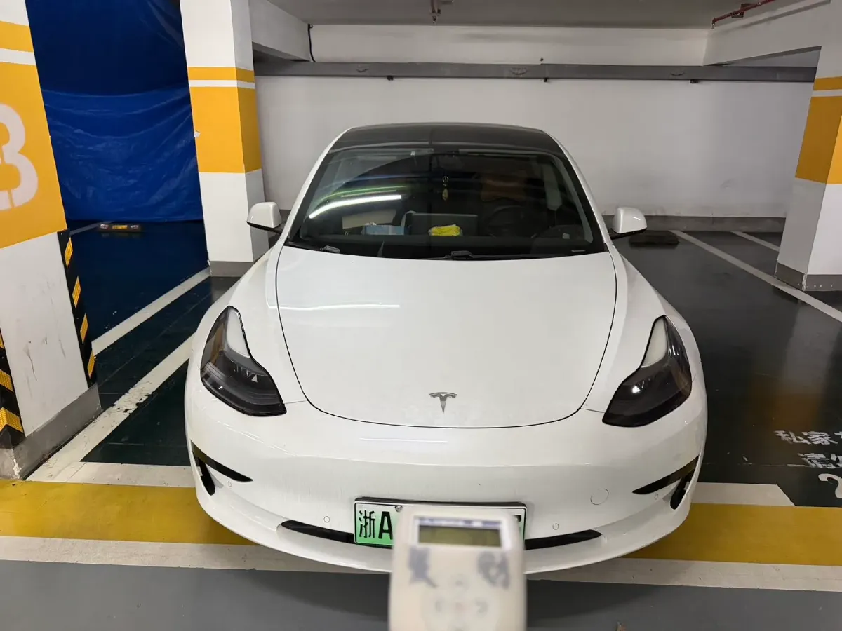 2021 Tesla Model 3 BEV 55KWH,autocango,china used car exporter,china ev exporter,chinese used car exporter,chinese used ev exporter