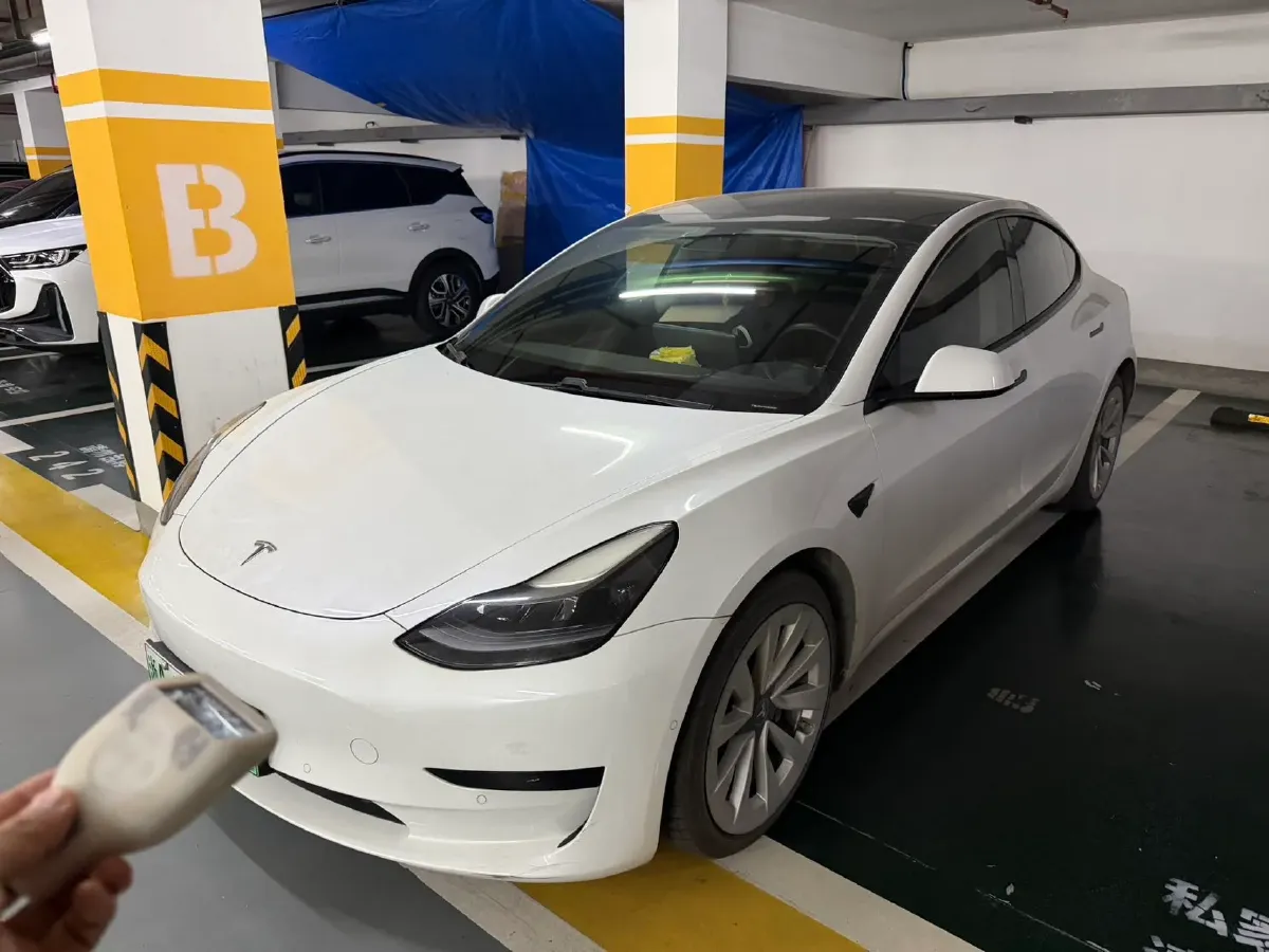 2021 Tesla Model 3 BEV 55KWH,autocango,china used car exporter,china ev exporter,chinese used car exporter,chinese used ev exporter