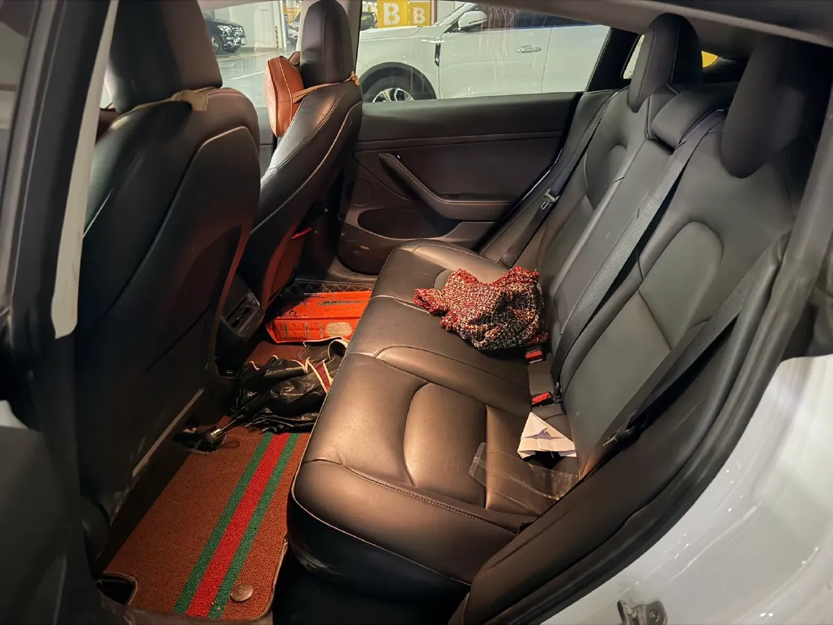 2021 Tesla Model 3 BEV 55KWH,autocango,china used car exporter,china ev exporter,chinese used car exporter,chinese used ev exporter